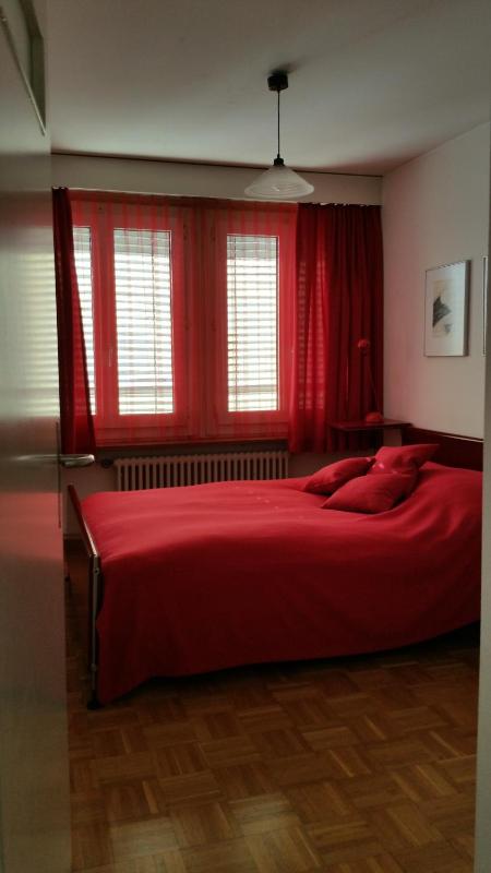 Two-Bedroom Apartment with Lake View image 4