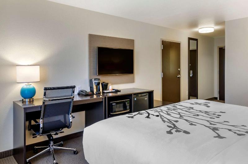 King Room - Non-Smoking image 3