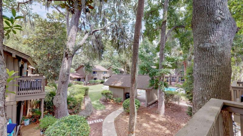 48 Water Oak - image 4
