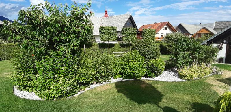Apartments Vesna - image 13