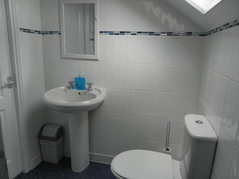 Family Room with Shower image 2