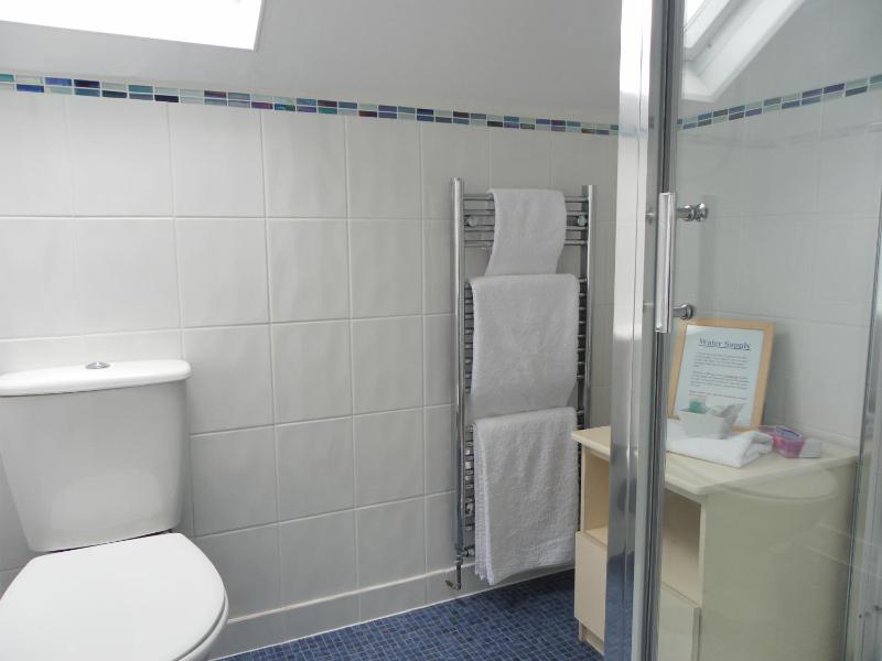 Family Room with Shower image 3