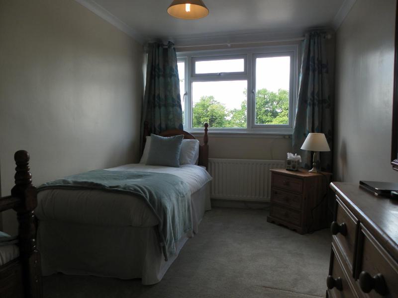 Family Room with Shower image 4