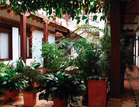 Hotel Boutique La Española - image 36