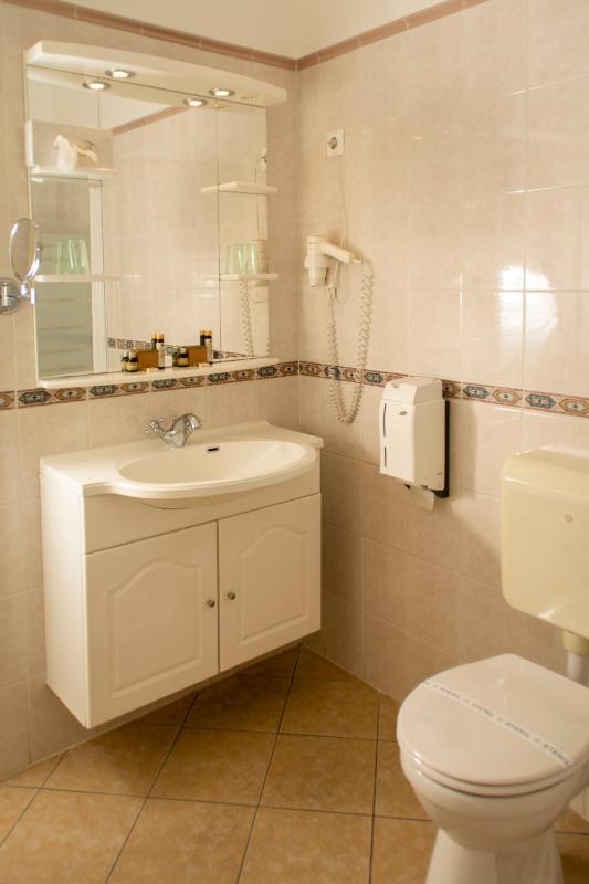 Deluxe Suite image 4