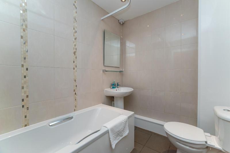One-Bedroom Apartment image 4