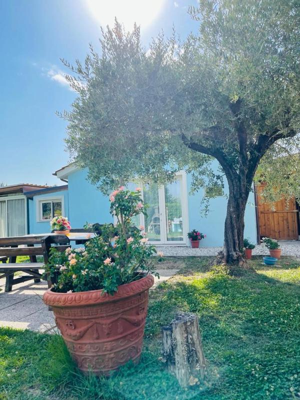 B&B La Rosa Nel Verde - image 15
