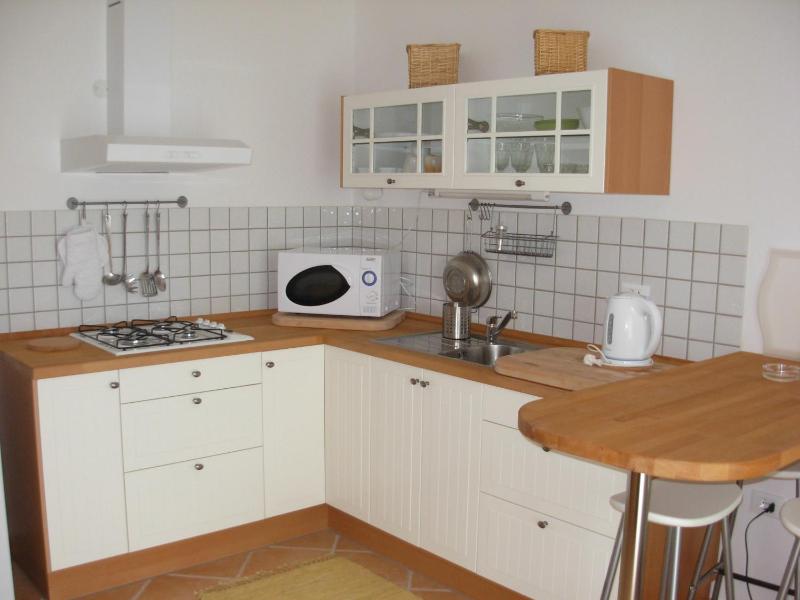 One-Bedroom Apartment with Terrace image 1