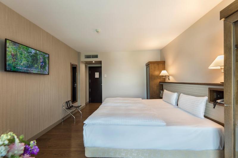 Superior Double Room image 2
