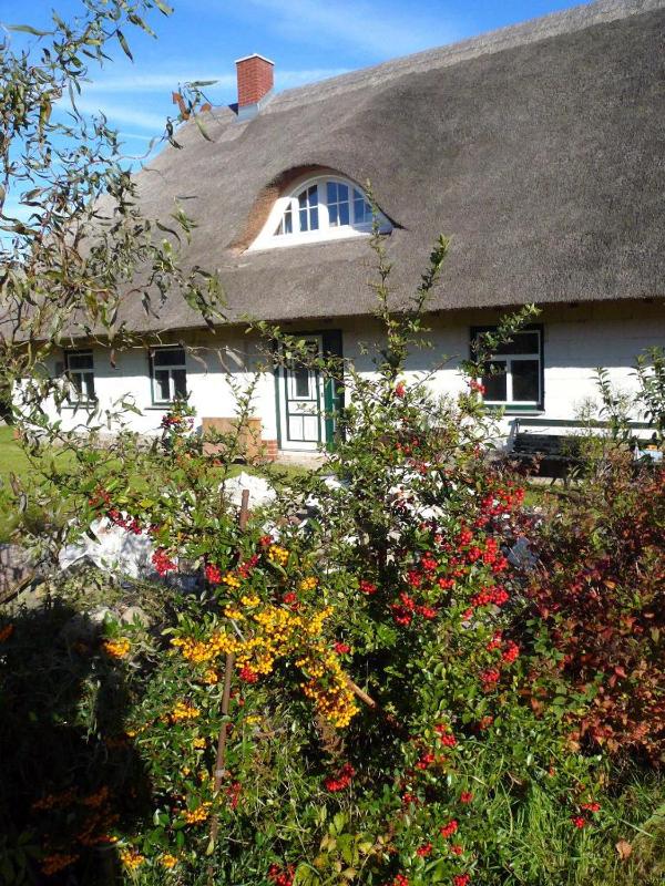 Reetdachhaus am Haff Images