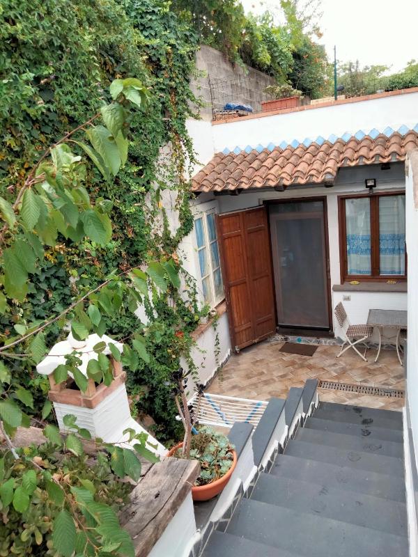 One-Bedroom Apartment image 1