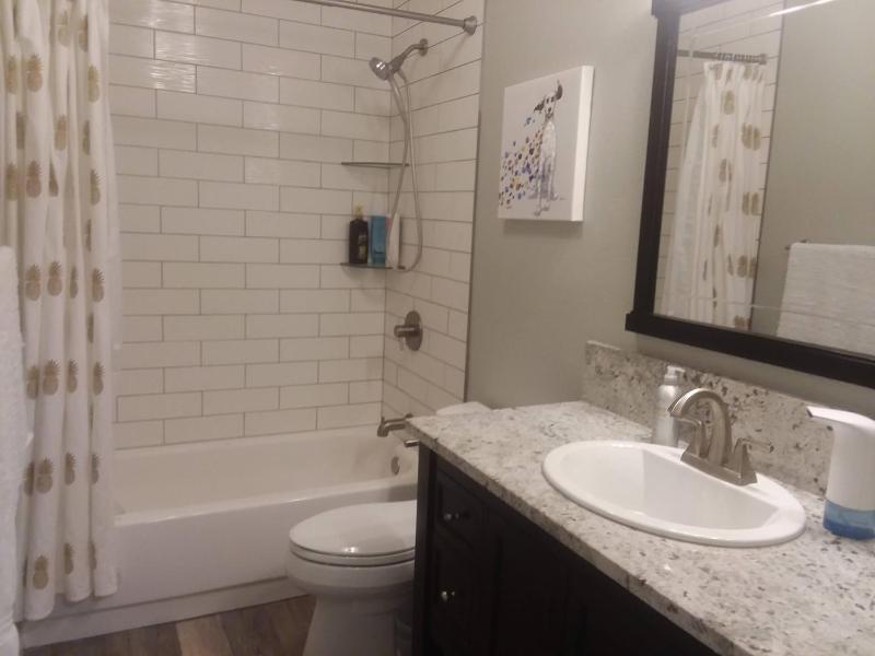 One-Bedroom Apartment image 3