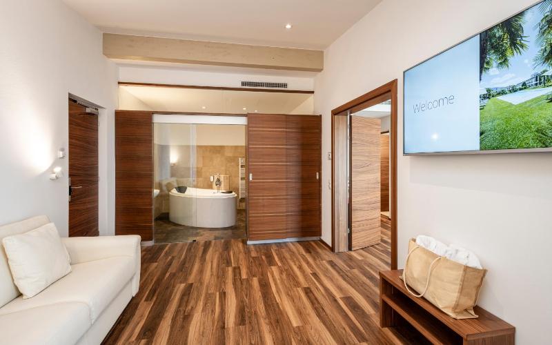 Deluxe Suite image 2