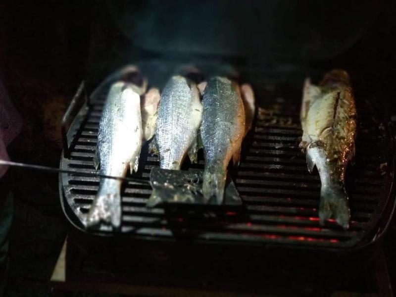 Holiday Home image 3