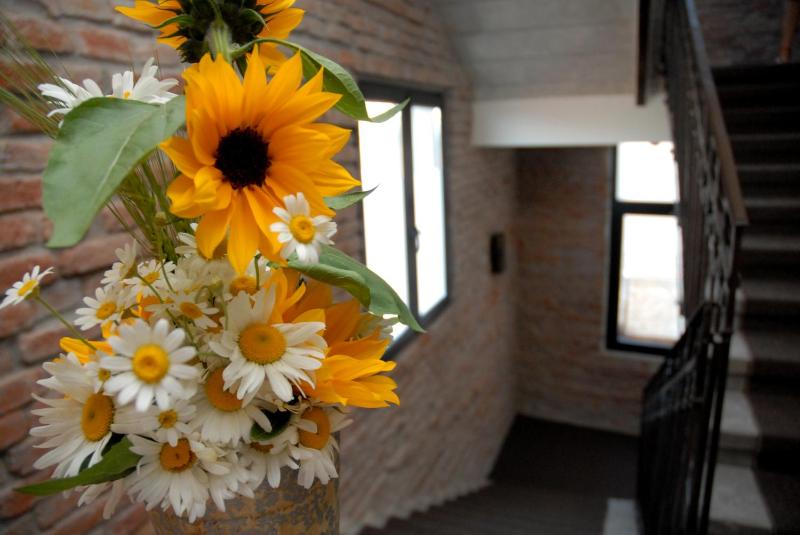 Caro Boutique Hotel - image 31