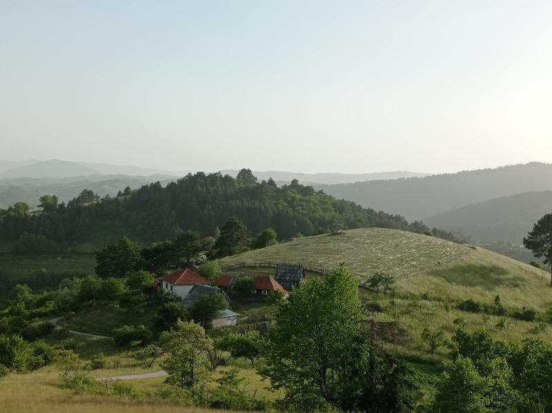 Laki Marjanovic - image 13