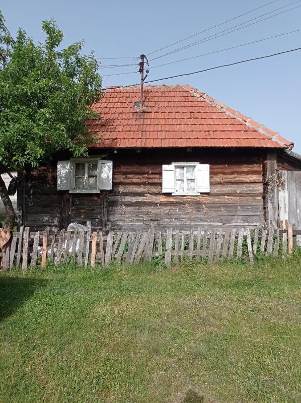Laki Marjanovic - image 4
