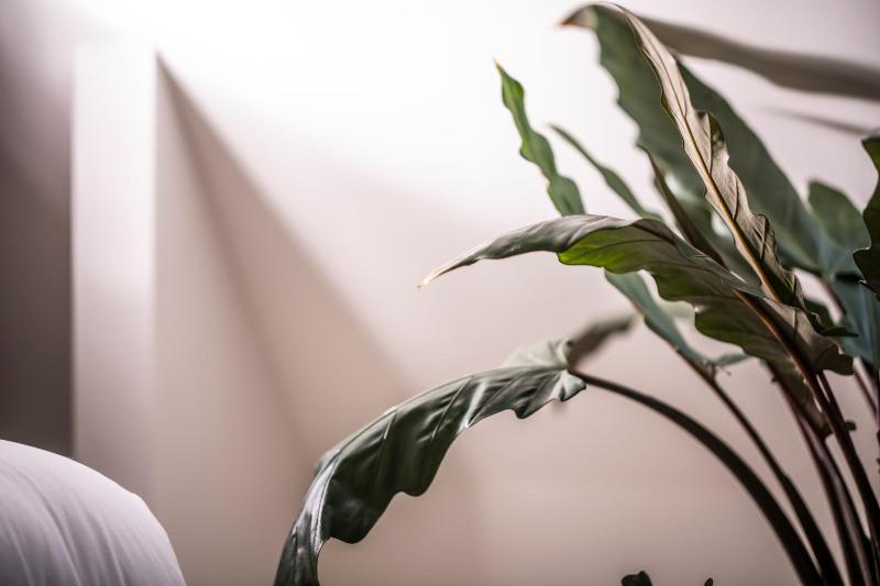 Loft image 4