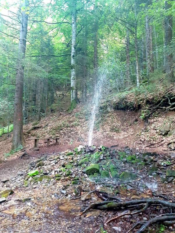 Apartman NERA - u Kraljevim čardacima Kopaonik - image 12