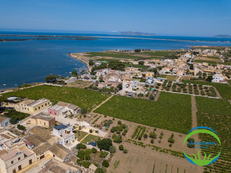 La Posidonia - Villa Abele - image 9