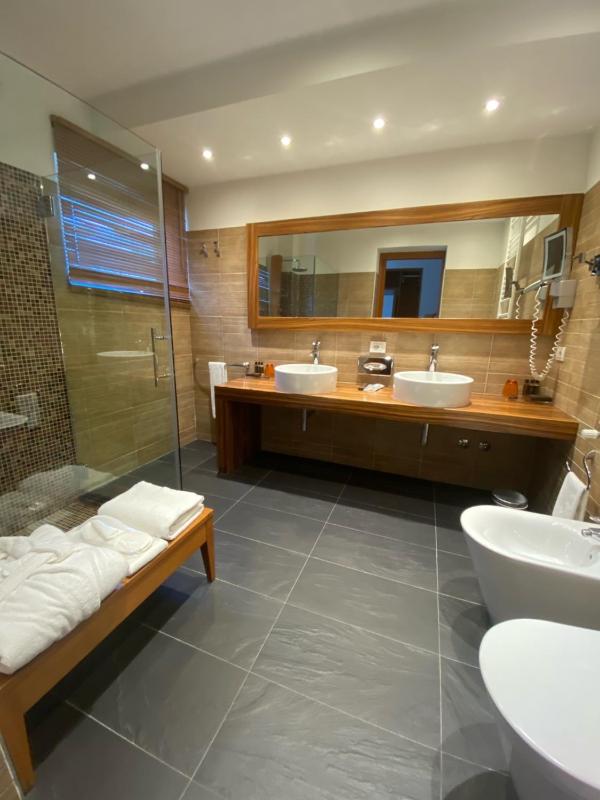 Suite with Terrace image 3