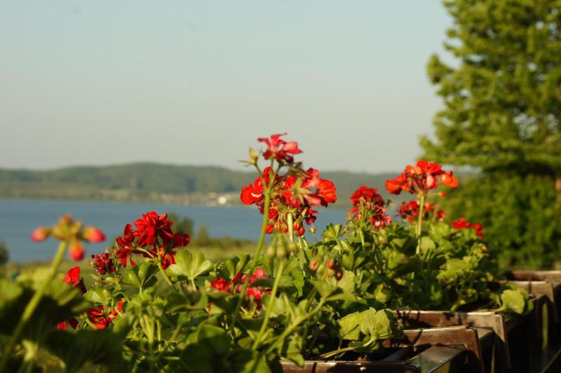 One-Bedroom Apartment with Garden View and Lake view image 3