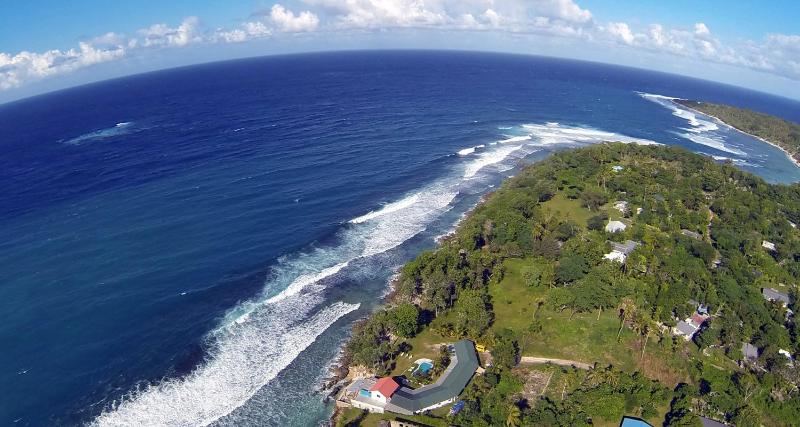 Bluepango Guest House - image 6