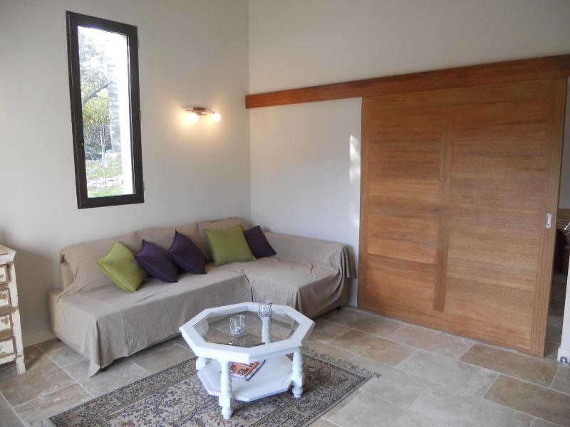 Apartment with Terrace image 2