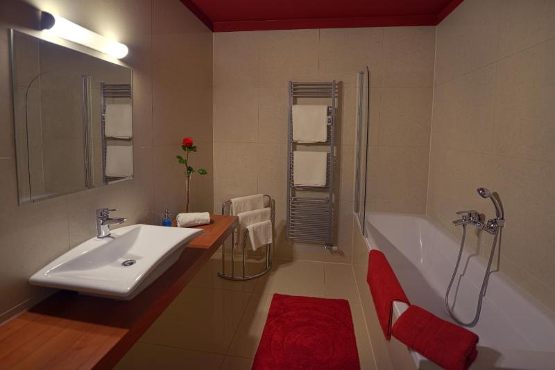 One-Bedroom Apartment image 2