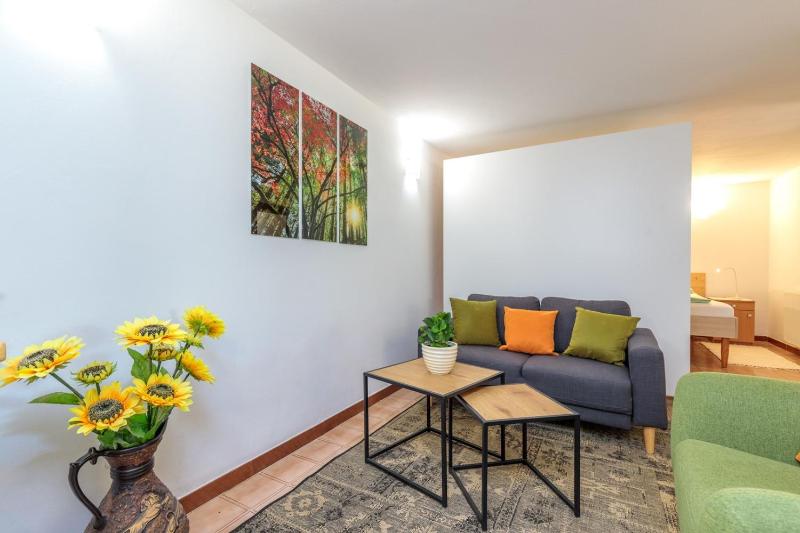 Studio Apartment Paljar - image 9