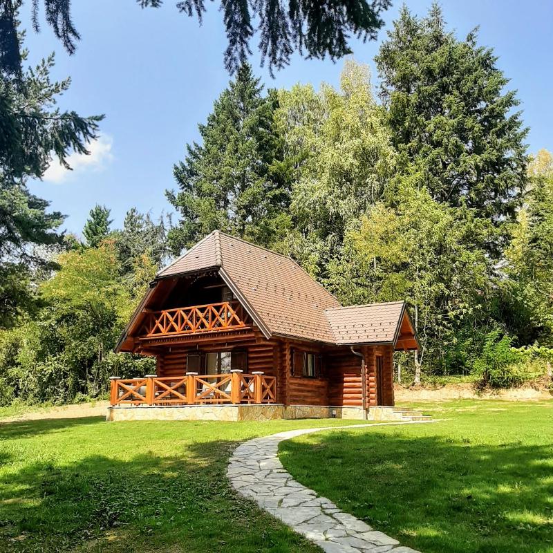 Superior Chalet image 2