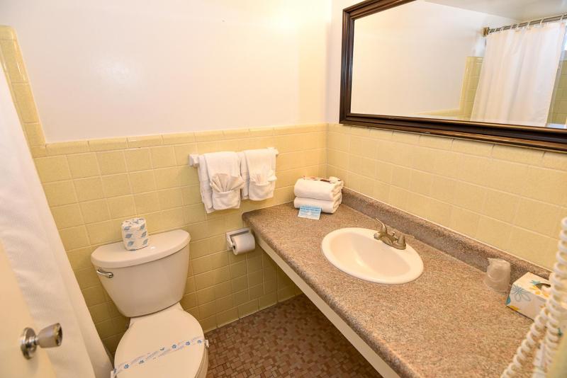 Partial Ocean View - Two Double Beds image 3