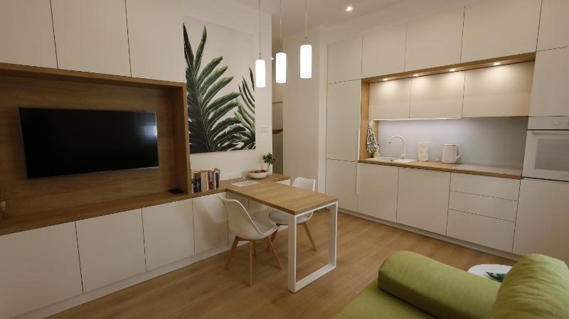 Apartment Ana Vračar Belgrade - image 1