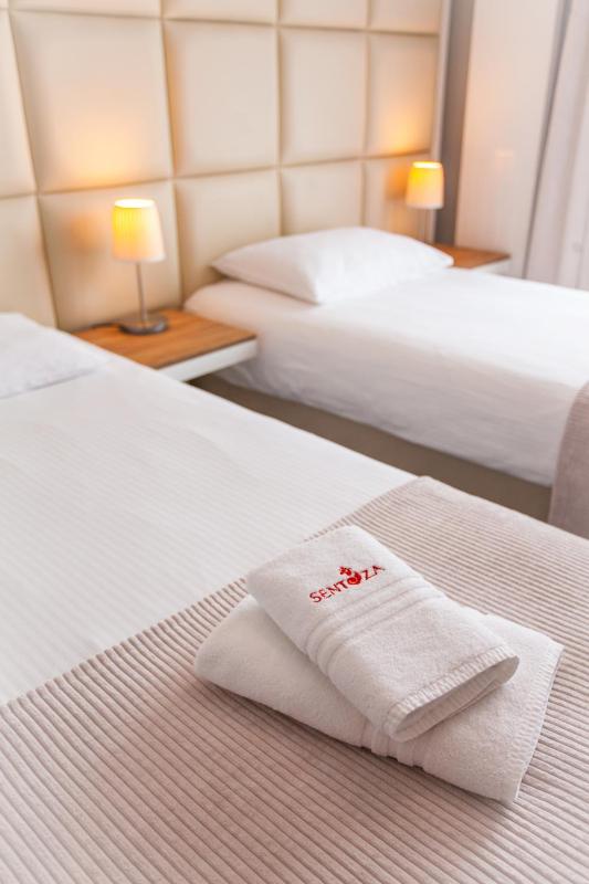 Large Double or Twin Room image 2