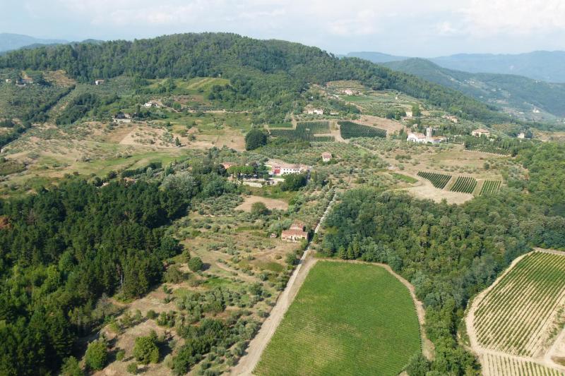 Villa Sardini - image 19