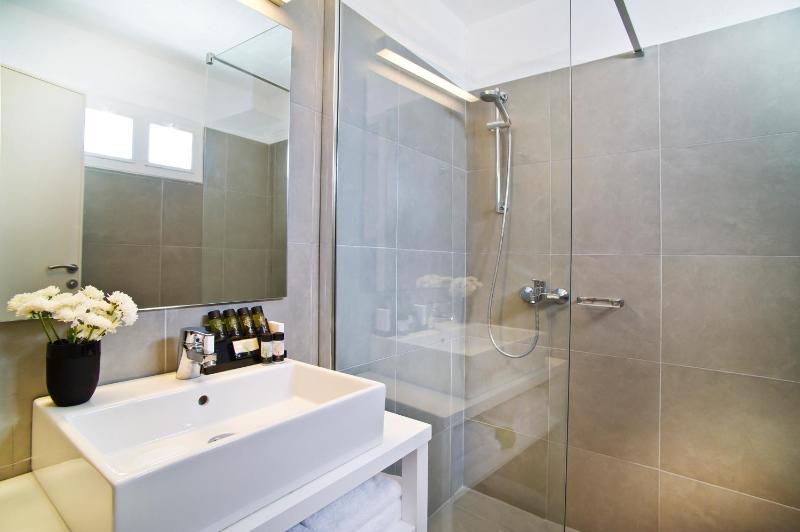 Superior Double or Twin Room image 4