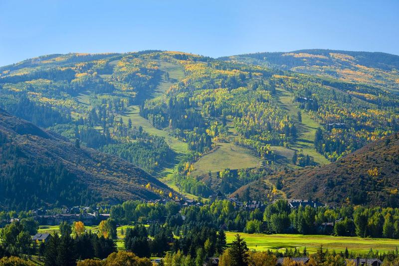 Two-Bedroom Apartment image 3