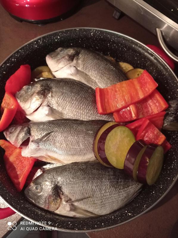 Studio with Terrace image 4