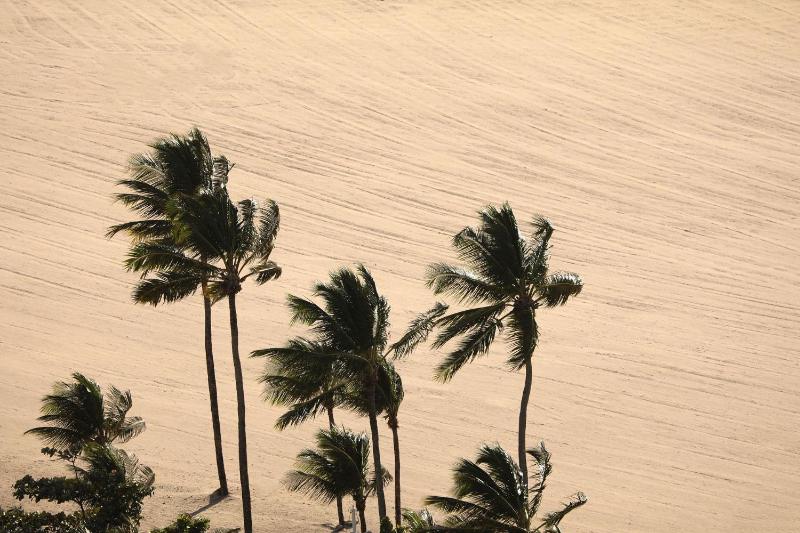 HY BEACH FLATS - SANTA MARIA - image 6