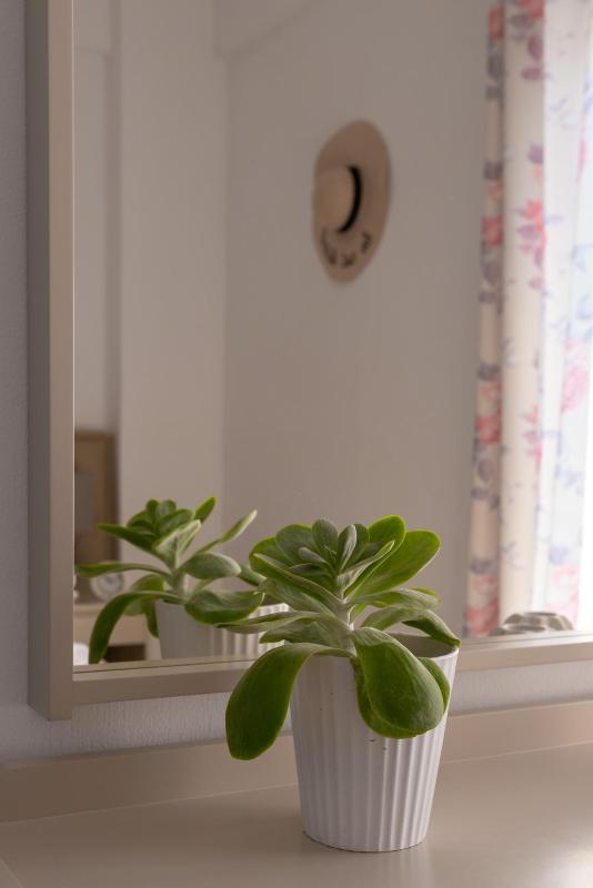 One-Bedroom Apartment (4 Adults) image 4
