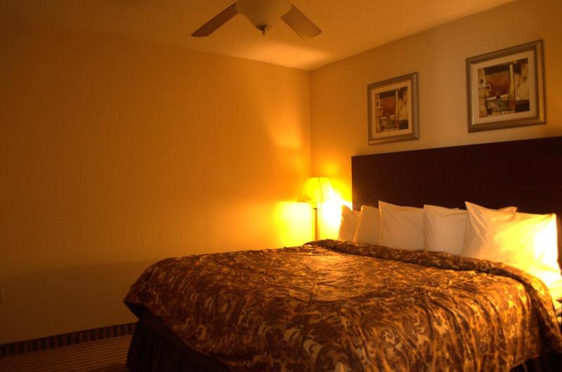 Standard King Room - Non Smoking image 3