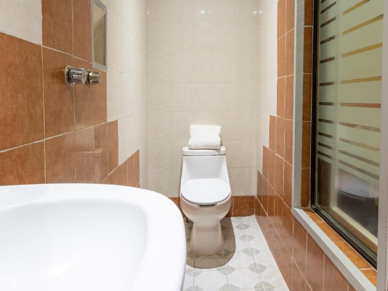 Hotel Vista Alegre - image 3