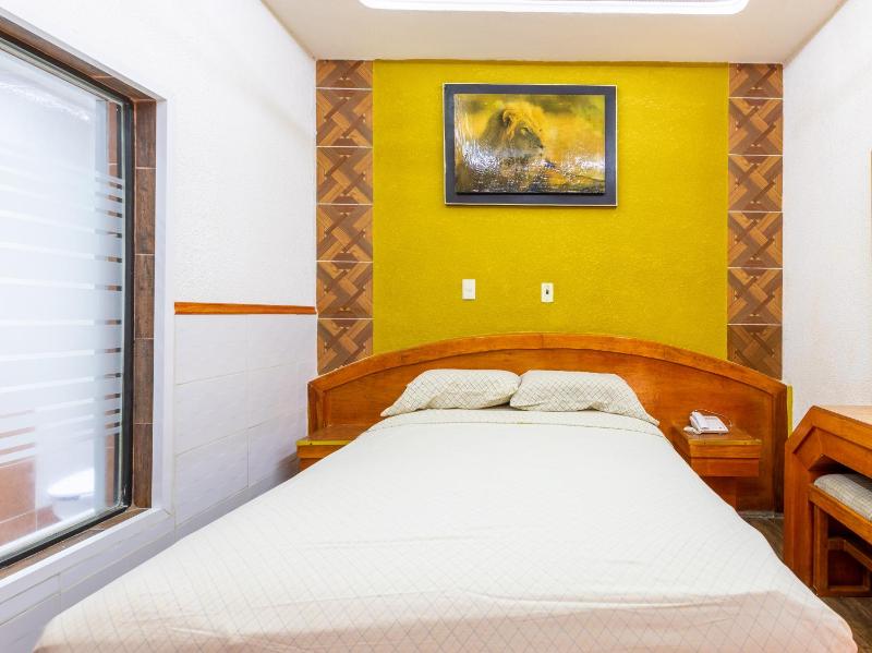 Hotel Vista Alegre - image 6