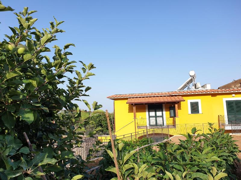 Casa Vacanze Il Frutteto - image 20