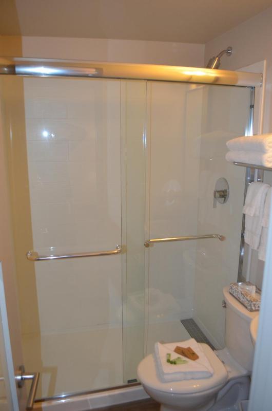 Deluxe Suite image 3