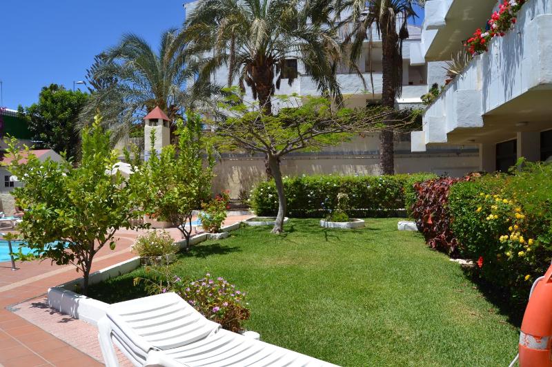 Apartamentos Don Quijote - image 4