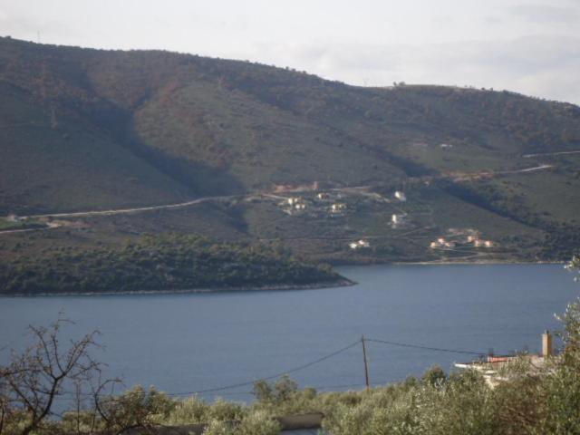 Deluxe Studio image 2