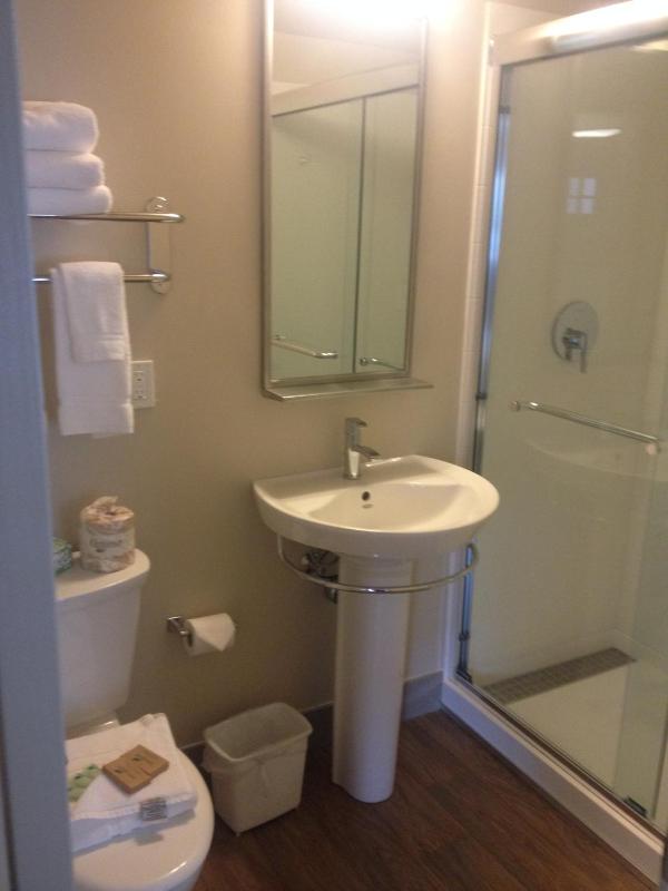 One-Bedroom Suite image 2