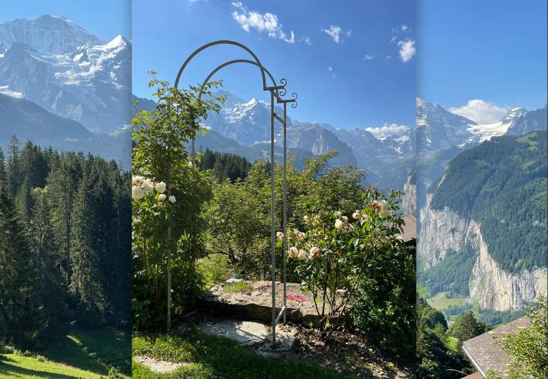 Superior Chalet image 2