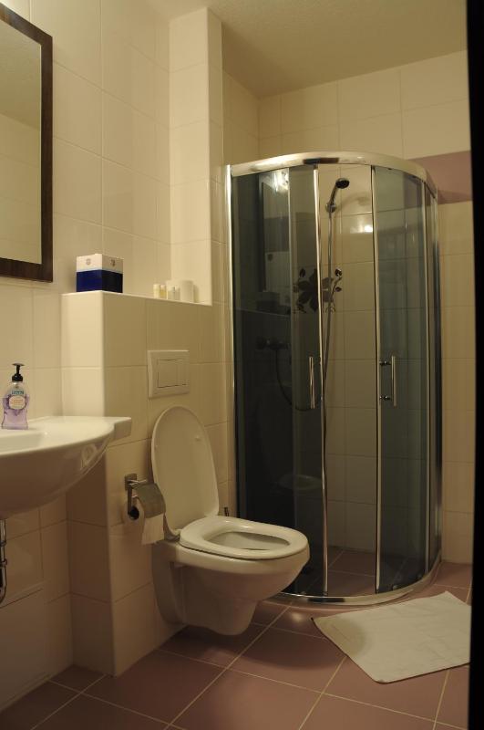 Single Room image 3